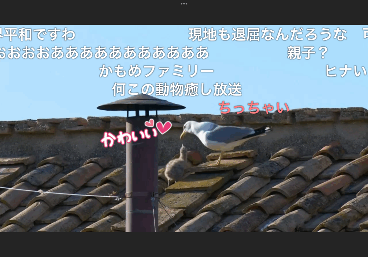 体験講義のコメント欄